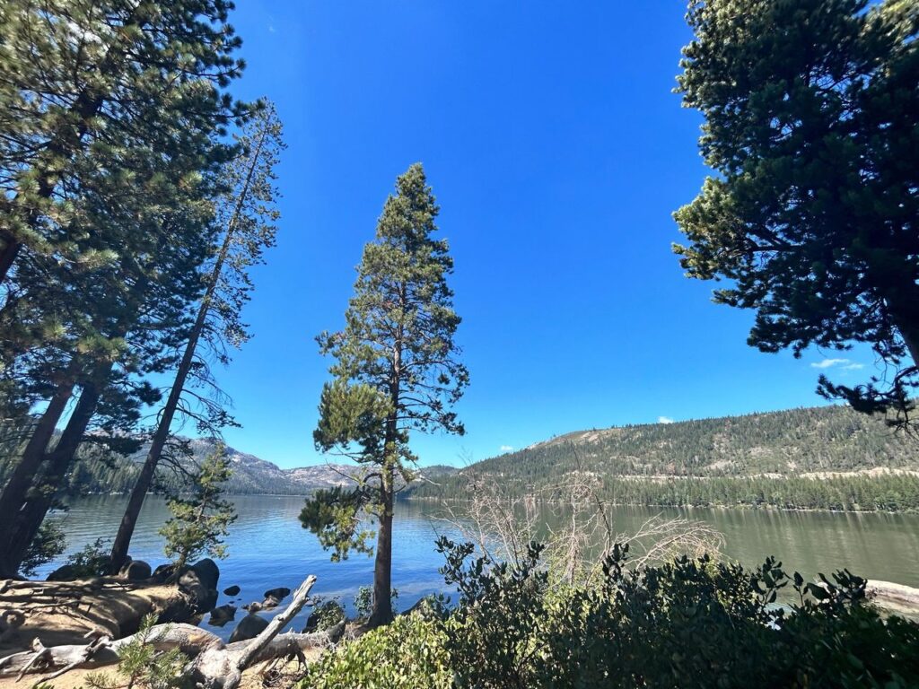 Le parc d'État Donner Memorial Californie