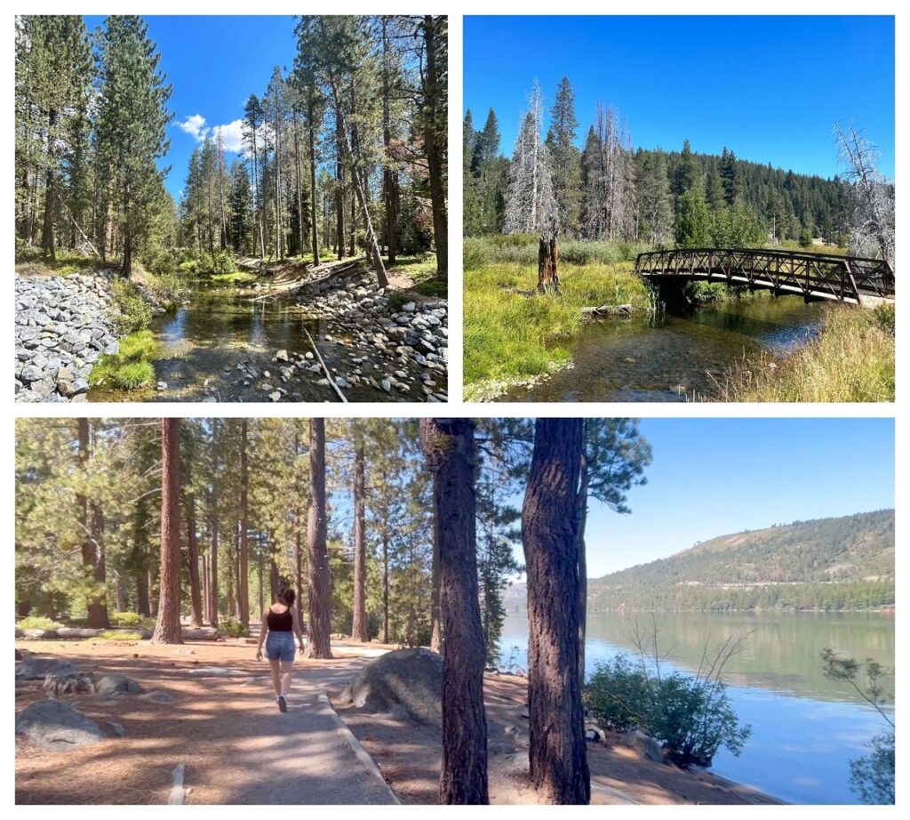 Le parc d'État Donner Memorial Californie