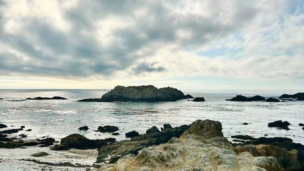 17-mile drive Monterey - Road Trip en Californie