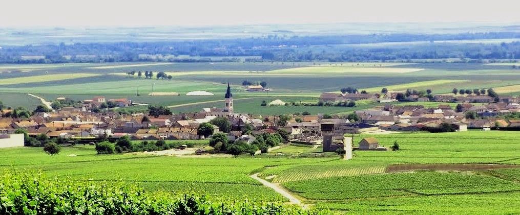 Bouzy Route du Champagne