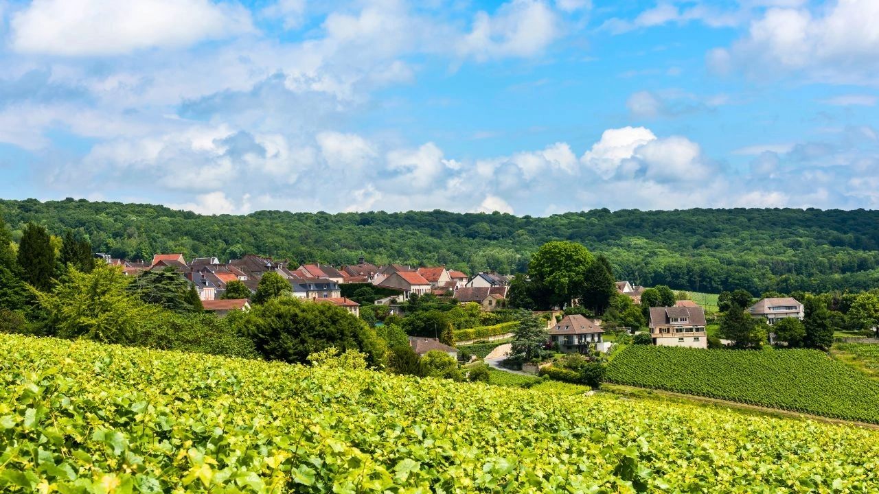 Hautvillers  Champagne Vignoble - Route du Champagne