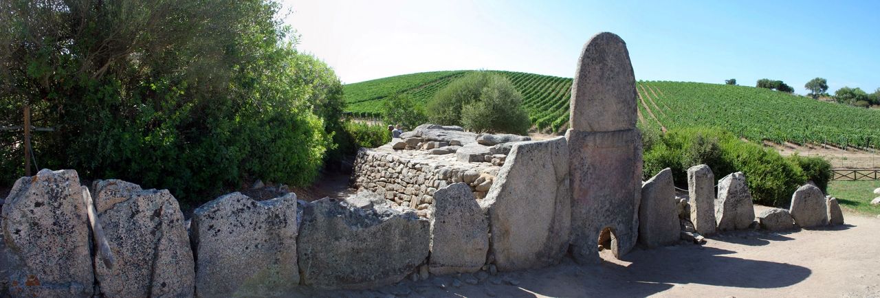 La tombe des géants de Coddu Vecchiu.