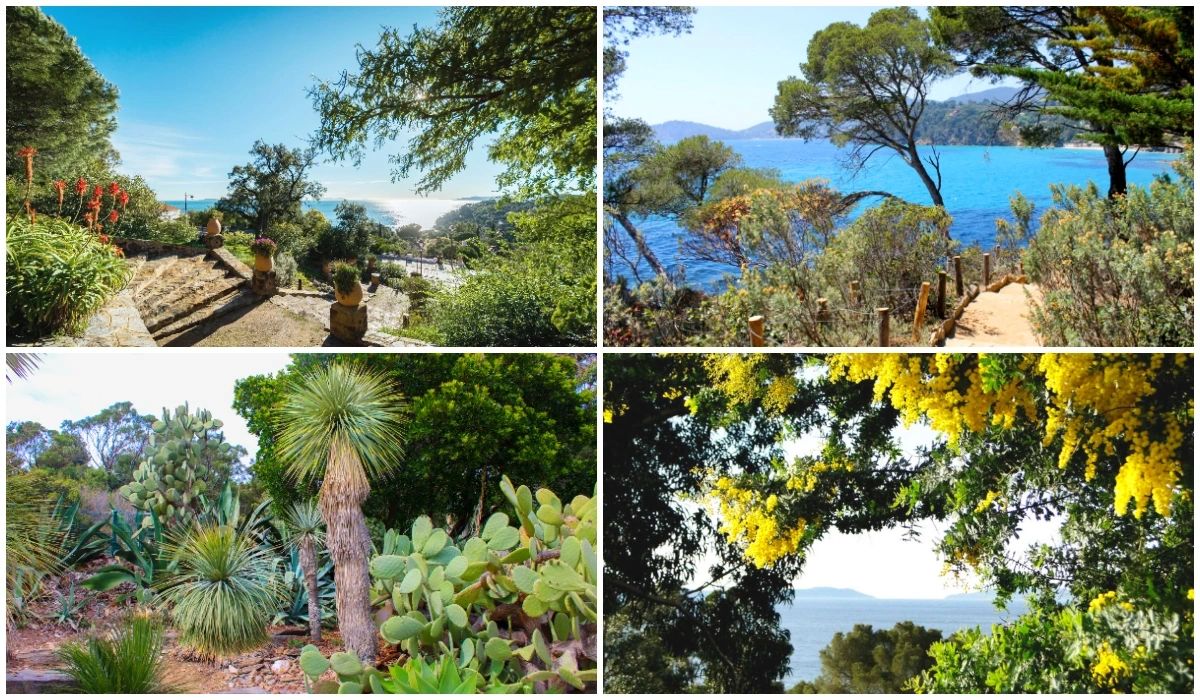 Le Domaine du Rayol - Provence - Jardins et Parcs Romantiques Côte d'Azur