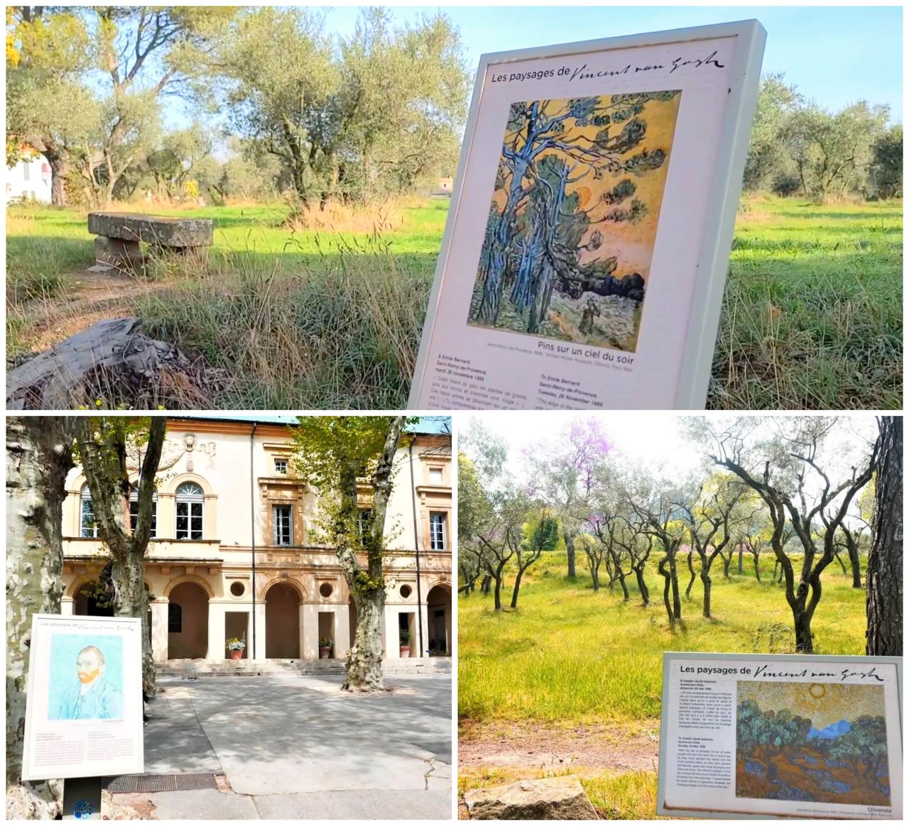 La Route de Van Gogh - Saint-Rémy-de-Provence 