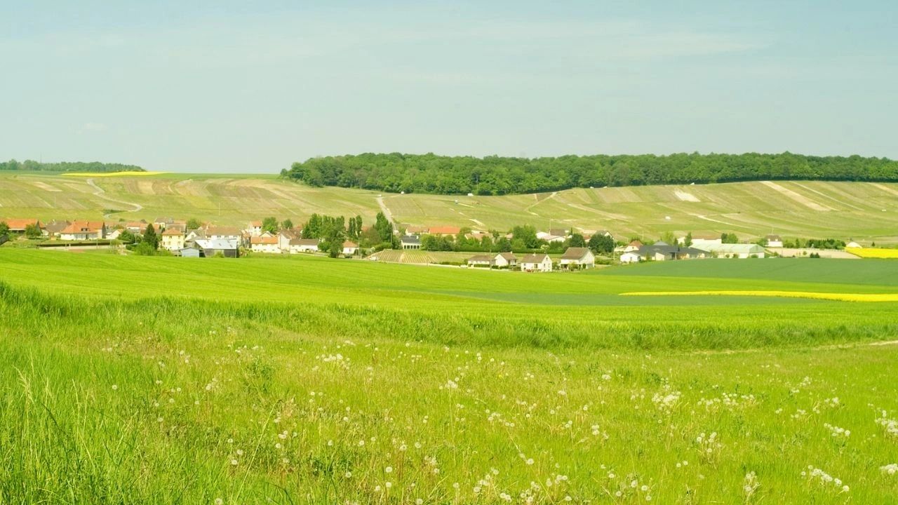 Les coteaux du sézannais et coteaux du petit morin Route du Champagne