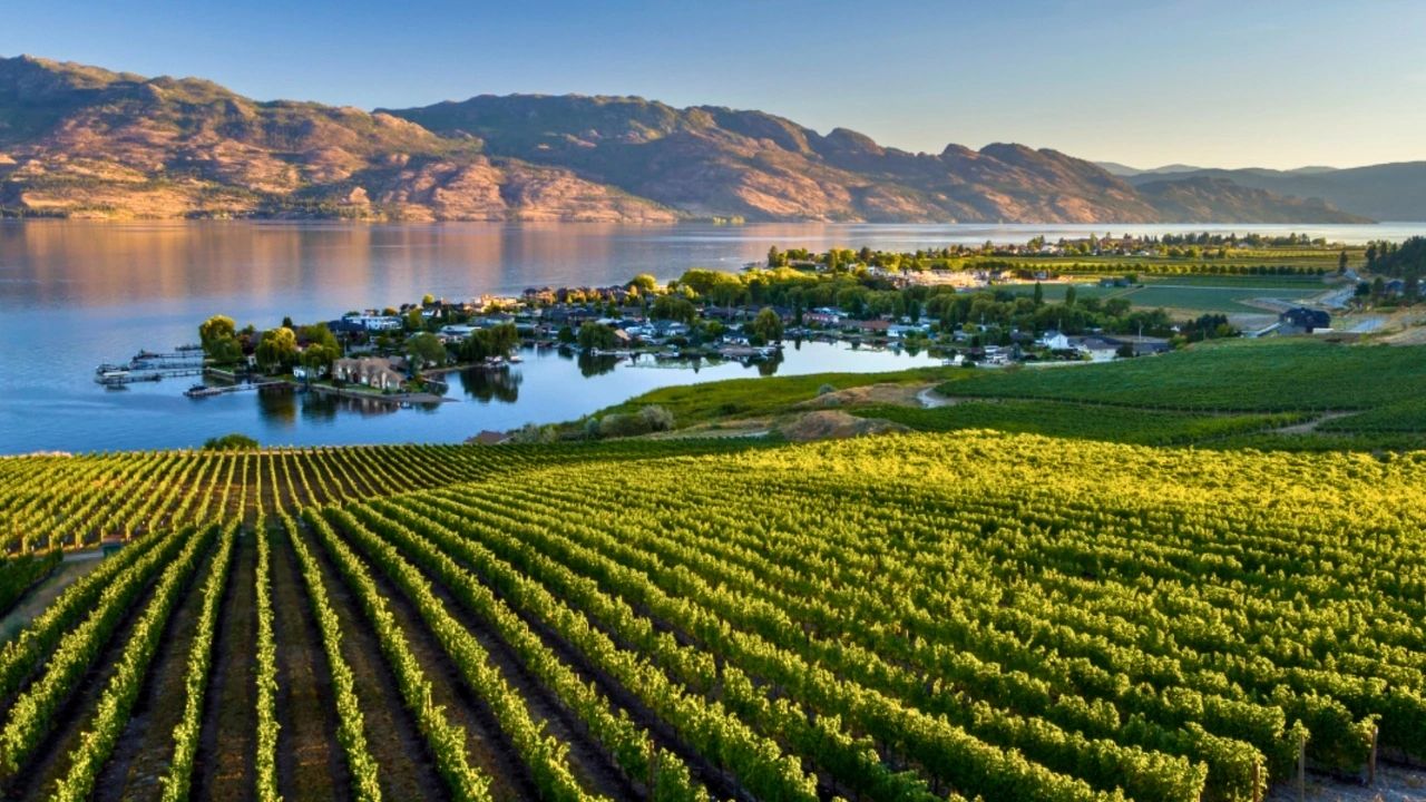 Quails' Gate Winery Okanagan Valley