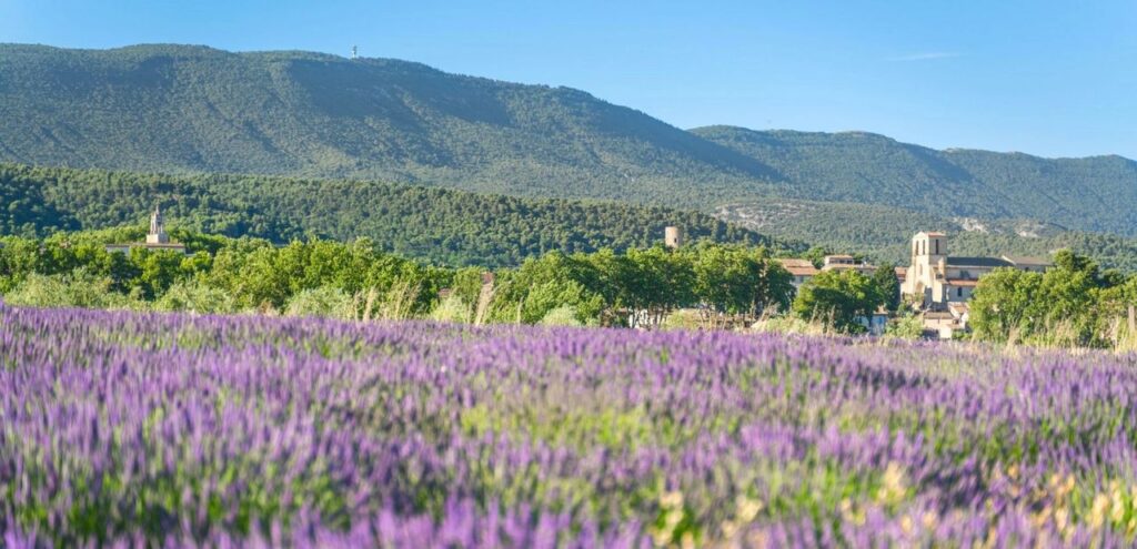 Les Merveilles du Vaucluse