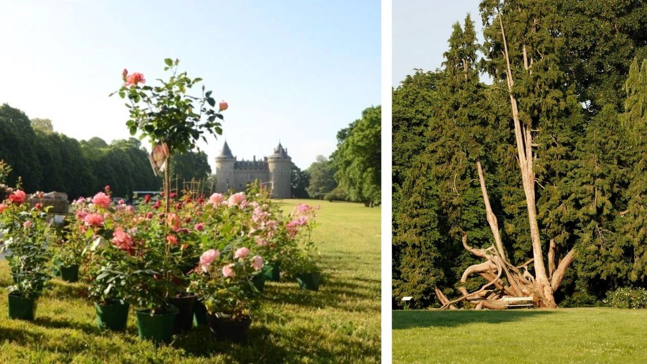 Jardins Château de Combourg