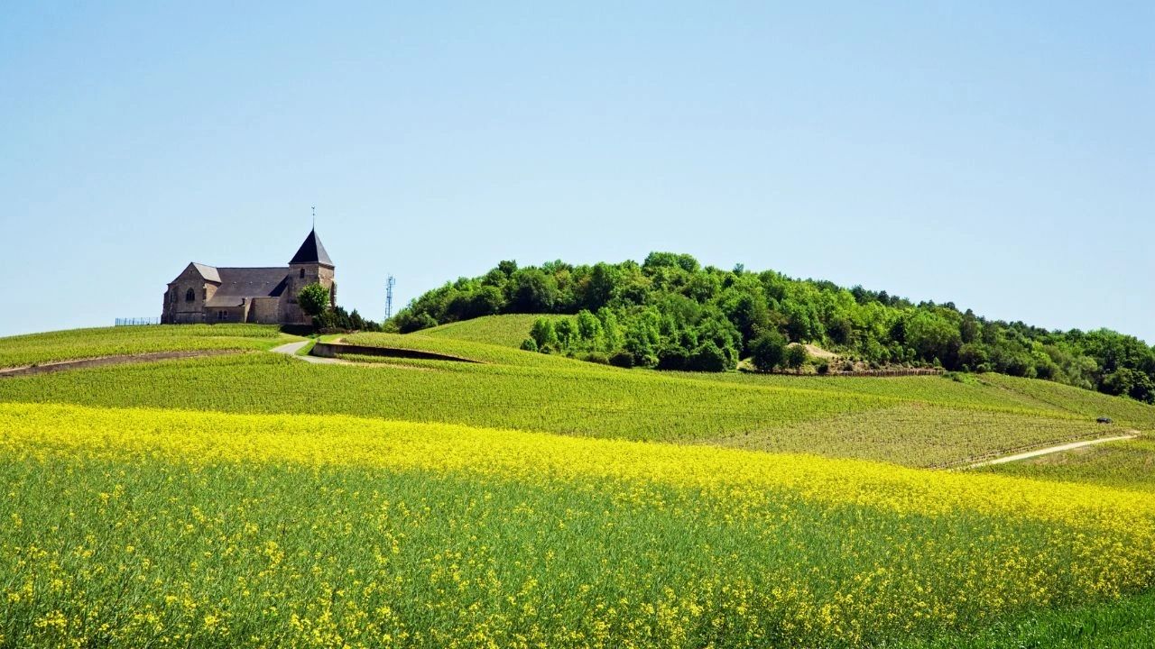 Eglise Saint-Martin à Chavot-Courcourt 