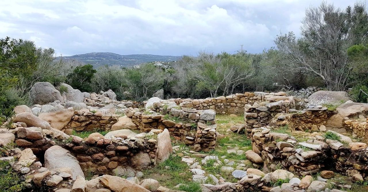 Complexe nuragique de Lu Brandali - Sardaigne