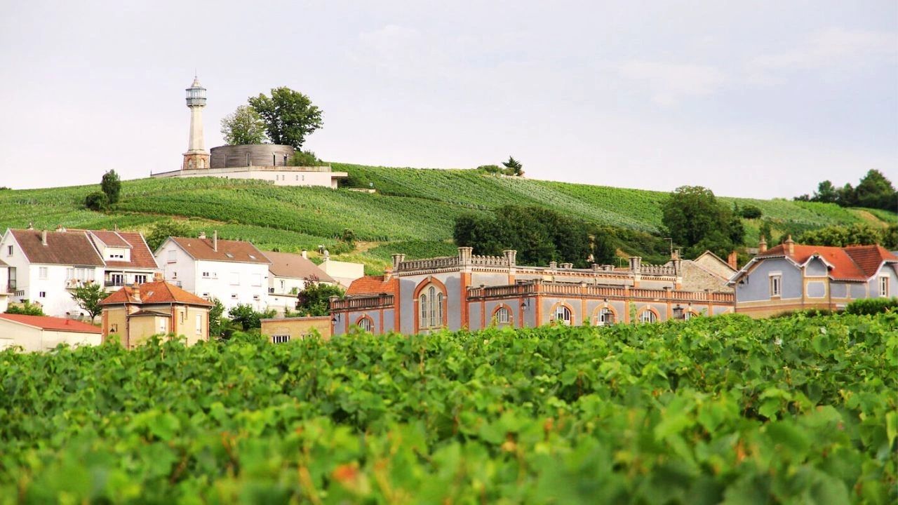 Verzenay  - Route du Champagne