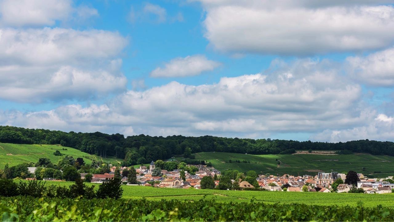 Avize - Route du Champagne