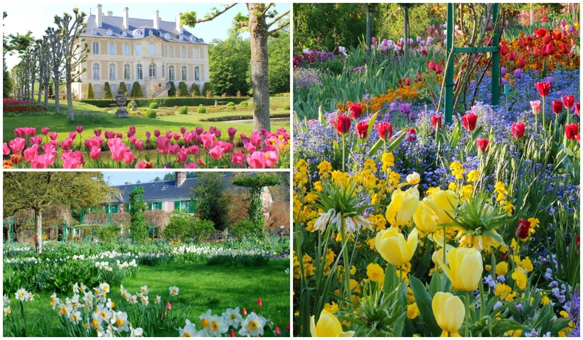 Château de Vendeuvre - Château de Cheverny - Les jardins de Claude Monet à Giverny