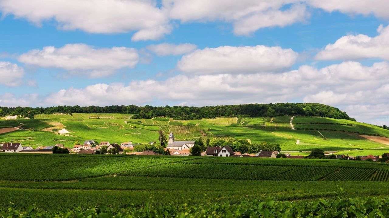 Oger - Route du Champagne