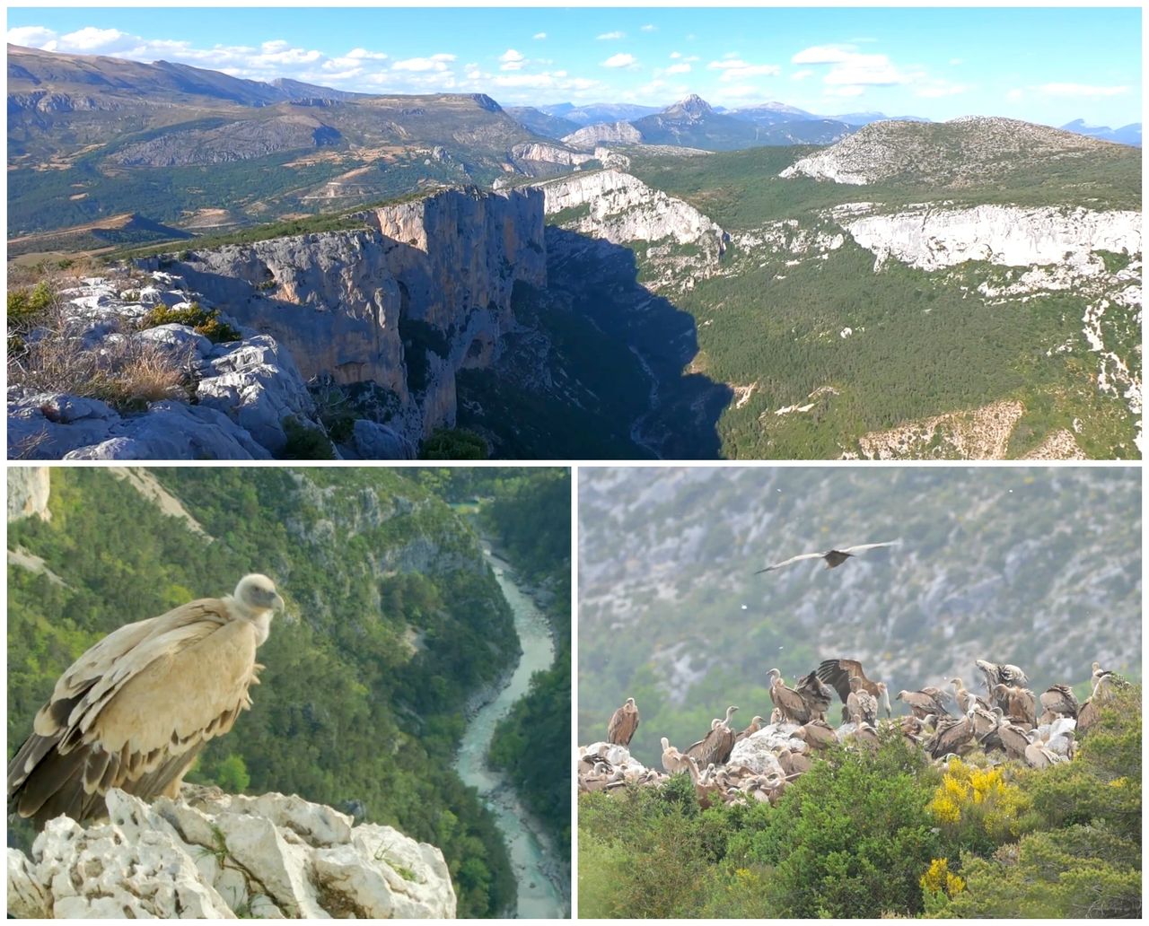 Le Parc Naturel Régional du Verdon