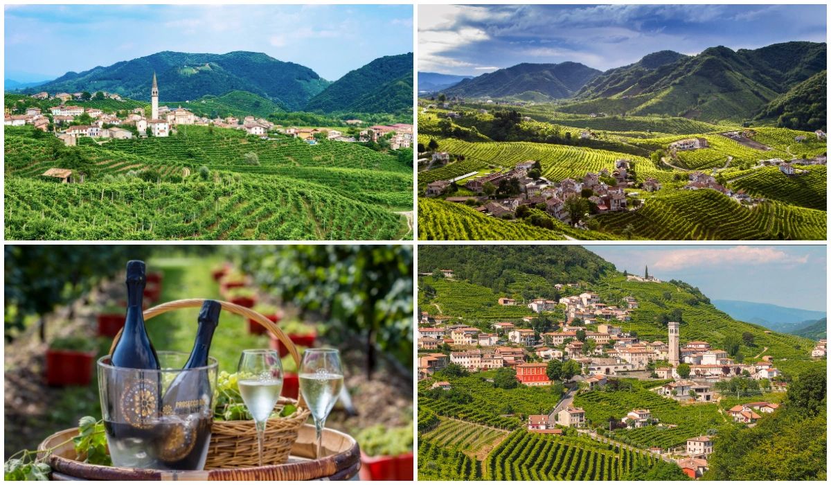 La route du Prosecco Vénétie Italie