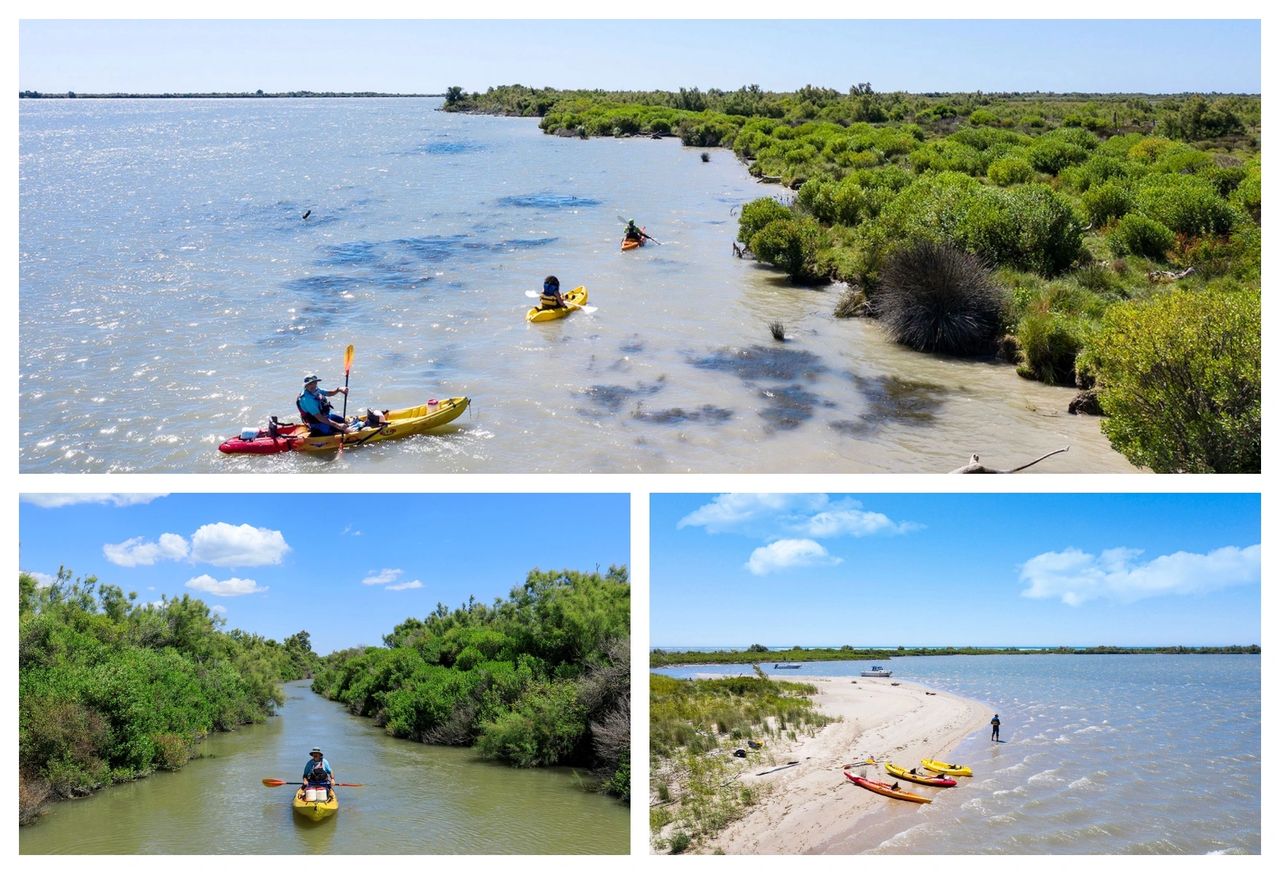 Kayak dans le Parc Naturel Régional de Camargue