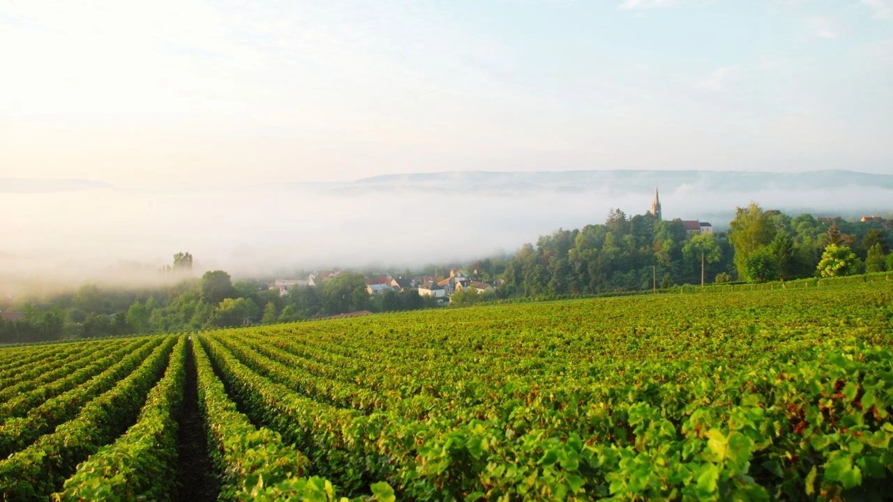 Route du Champagne