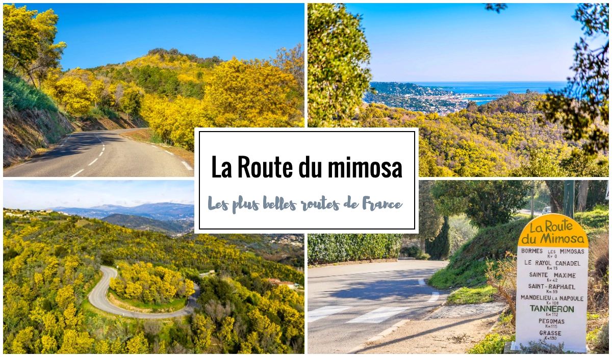 La Route du mimosa - Road trip sur les plus belles routes de France