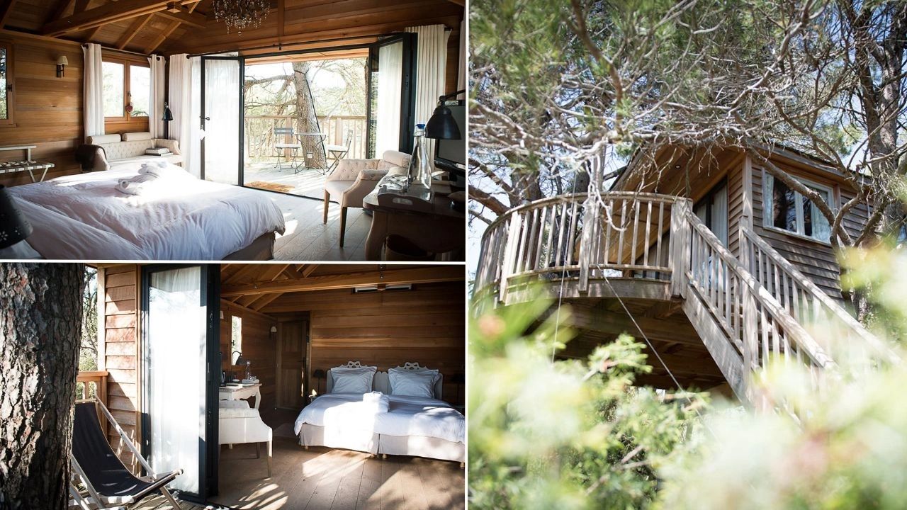 Cabane dans les arbres de luxe Provence