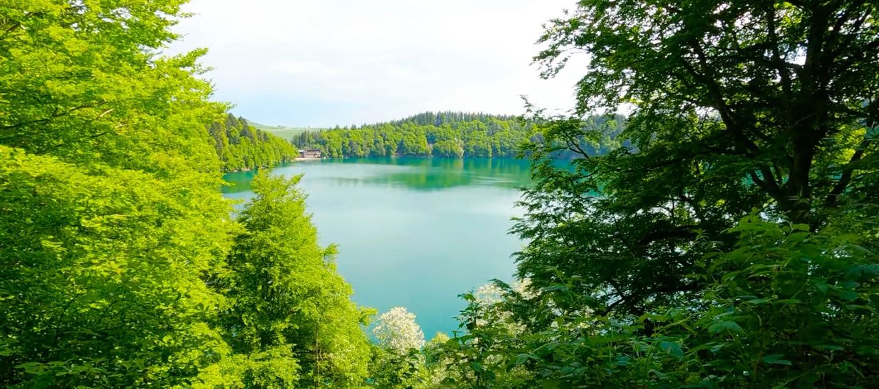 Le Lac Pavin - Sur la route des Volcans d'Auvergne