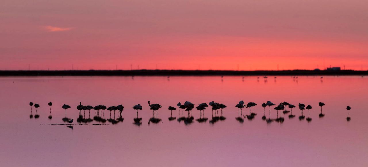 Les plus beaux couchers de soleil en France : Camargue