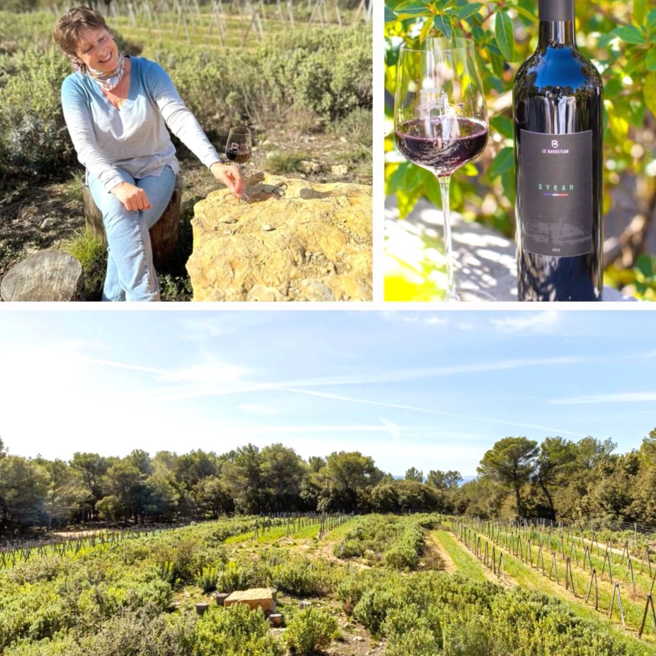 Le Barretian - Domaine vinicole - Var Provence