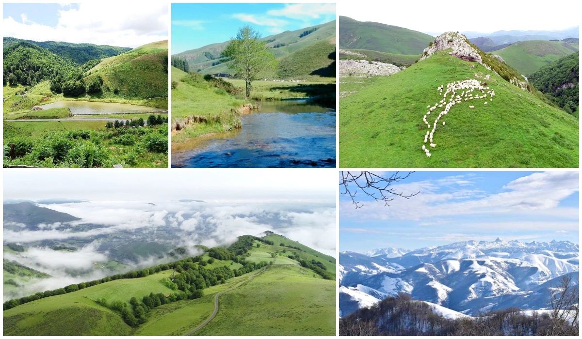 La forêt d’Iraty - Pyrénées-Atlantiques - Aquitaine - Les plus belles forêts de France.