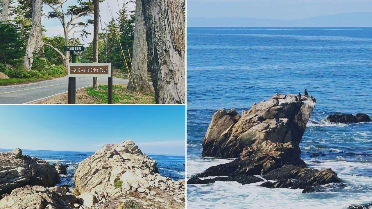 17-mile drive Monterey - Road Trip en Californie