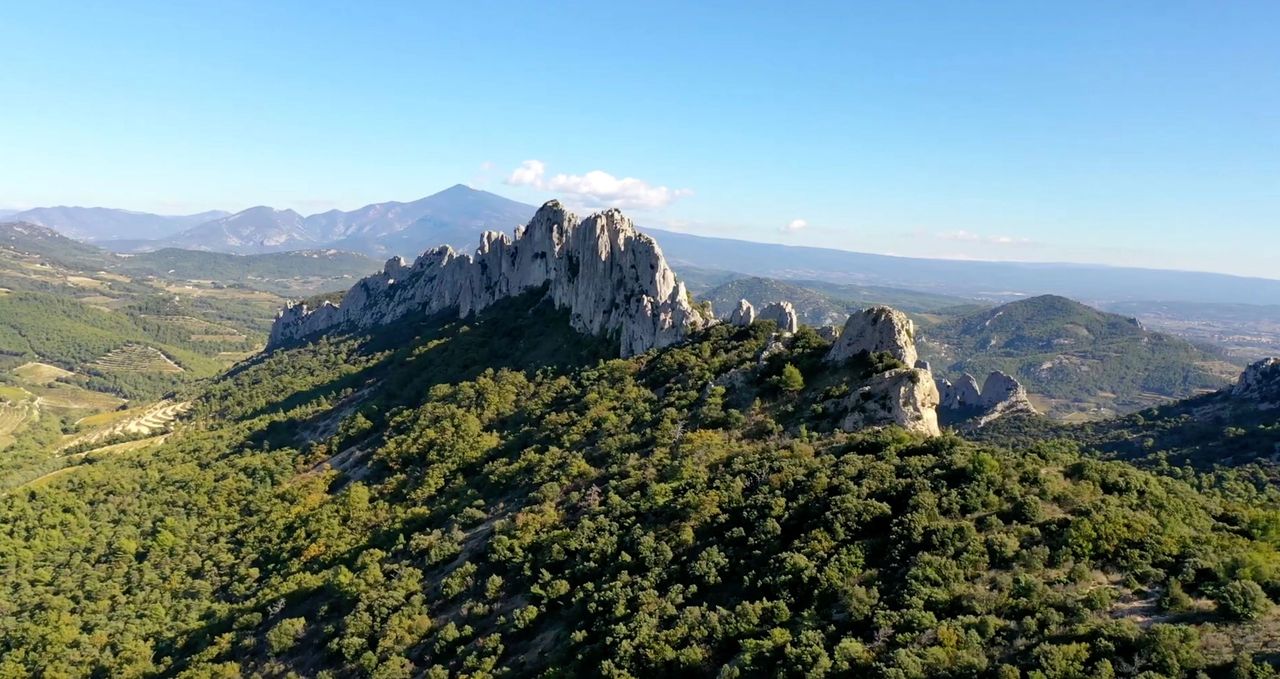 Les Dentelles de Montmirail - Vaucluse