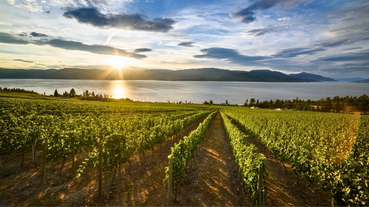 CedarCreek Estate Winery Okanagan Valley