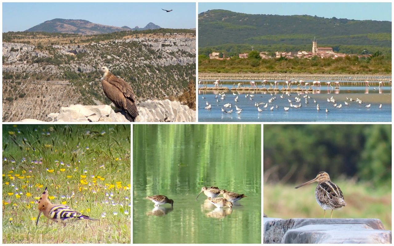 Hérault - Le parc naturel régional du Haut-Languedoc et les étangs palavasiens