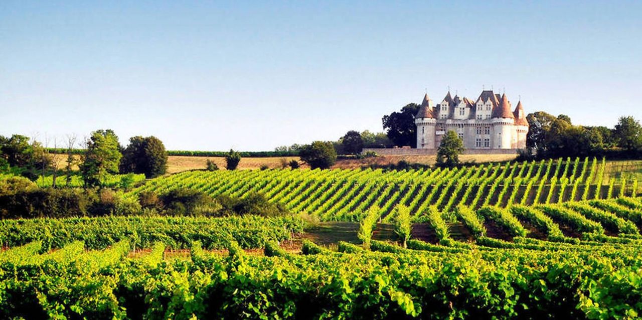 Château de Monbazillac - Dordogne