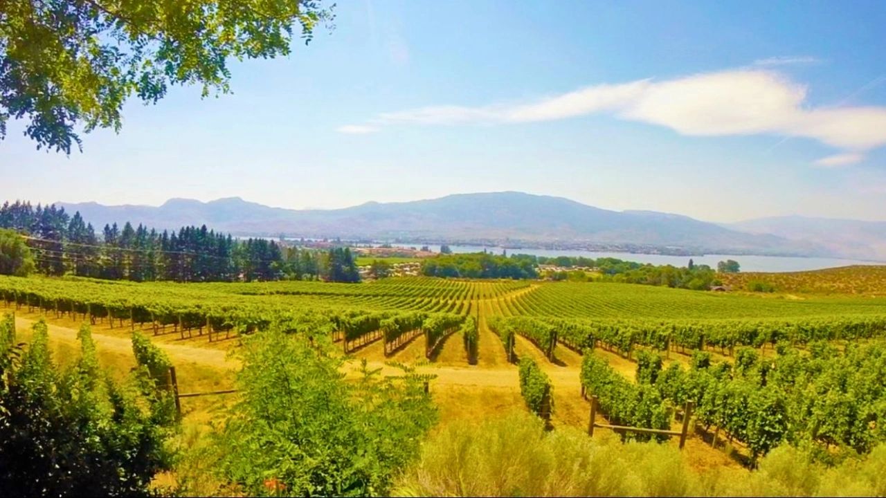 La Vallée de l'Okanagan : La Route des Vins dans l'Ouest Canadien