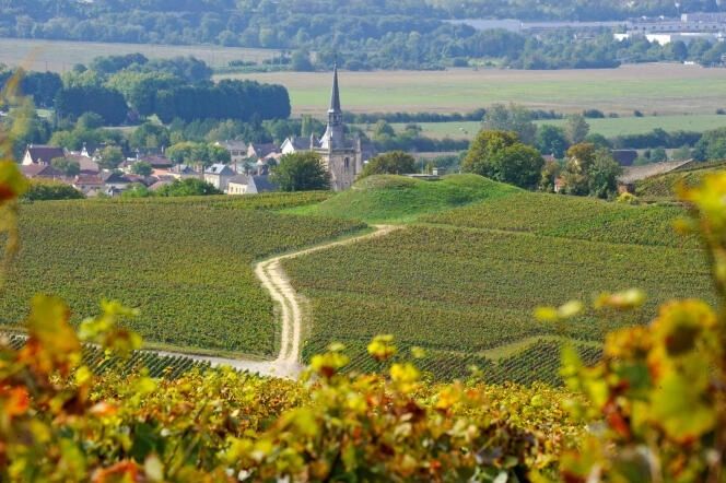 Aÿ-Champagne - Route du Champagne