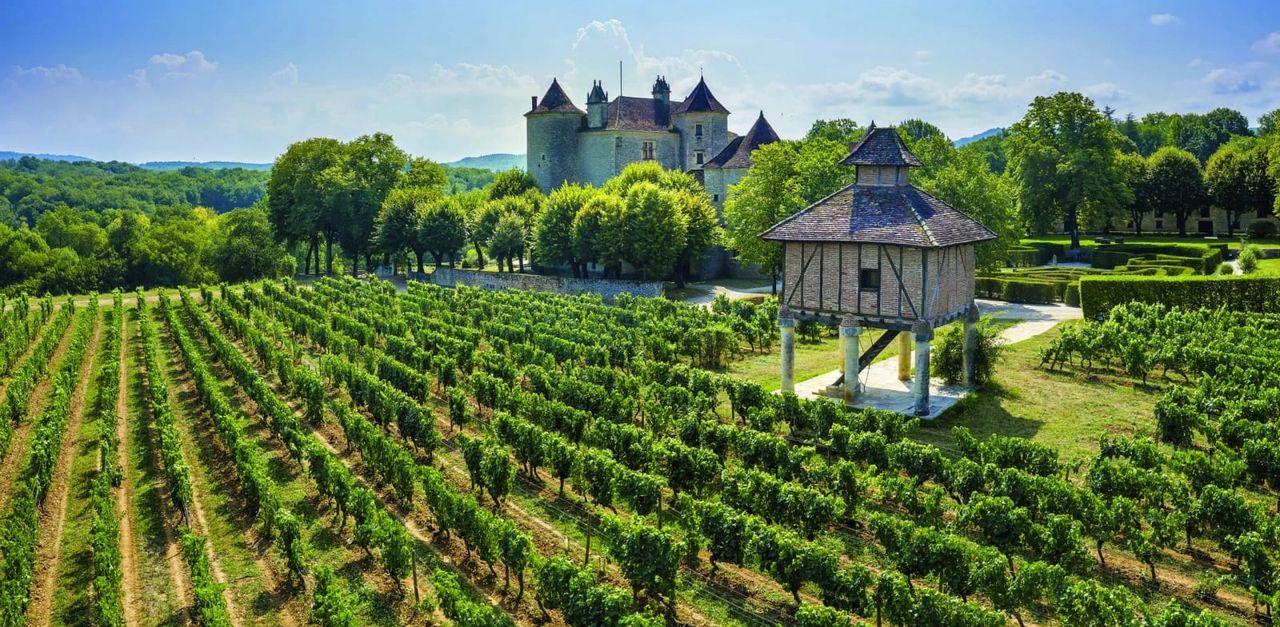 Vignoble de Cahors - Lot