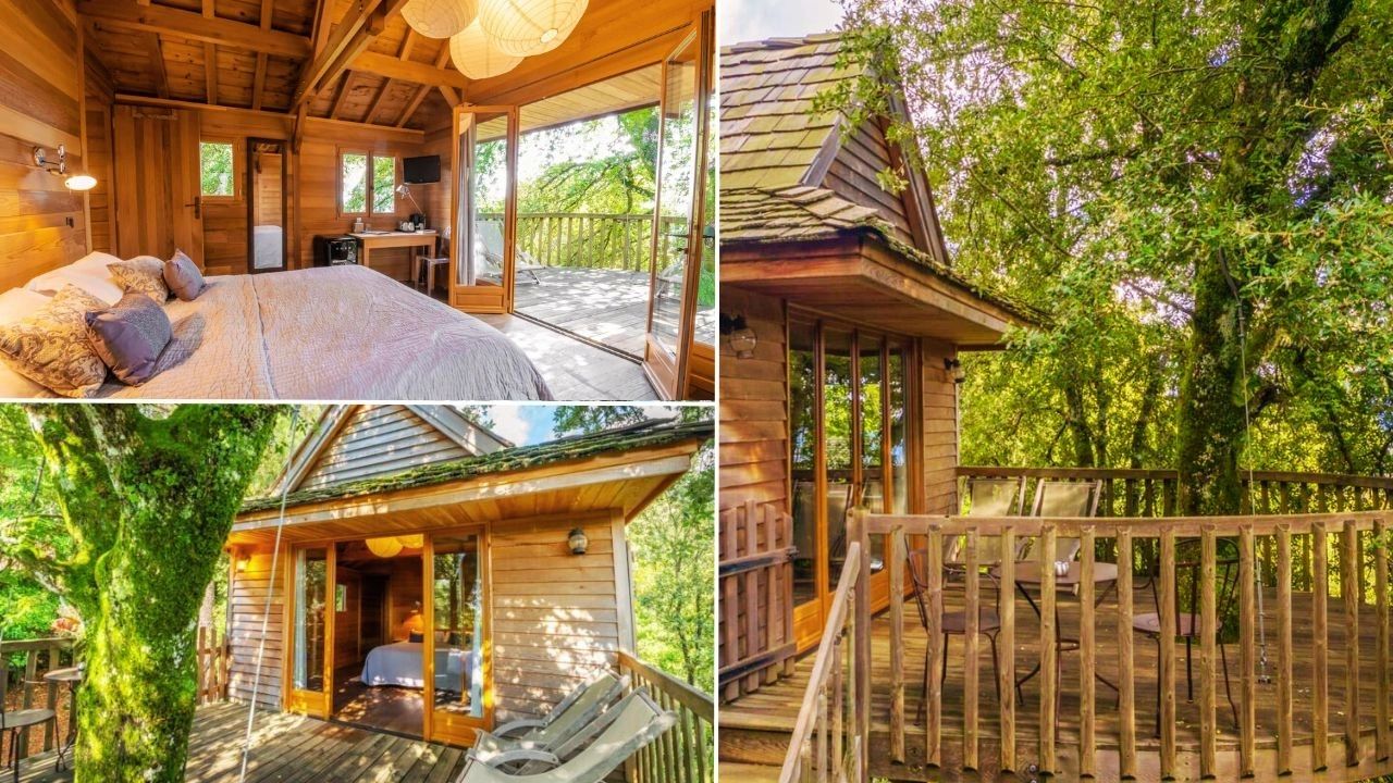 Cabane perchée dans les arbres de luxe en Corse