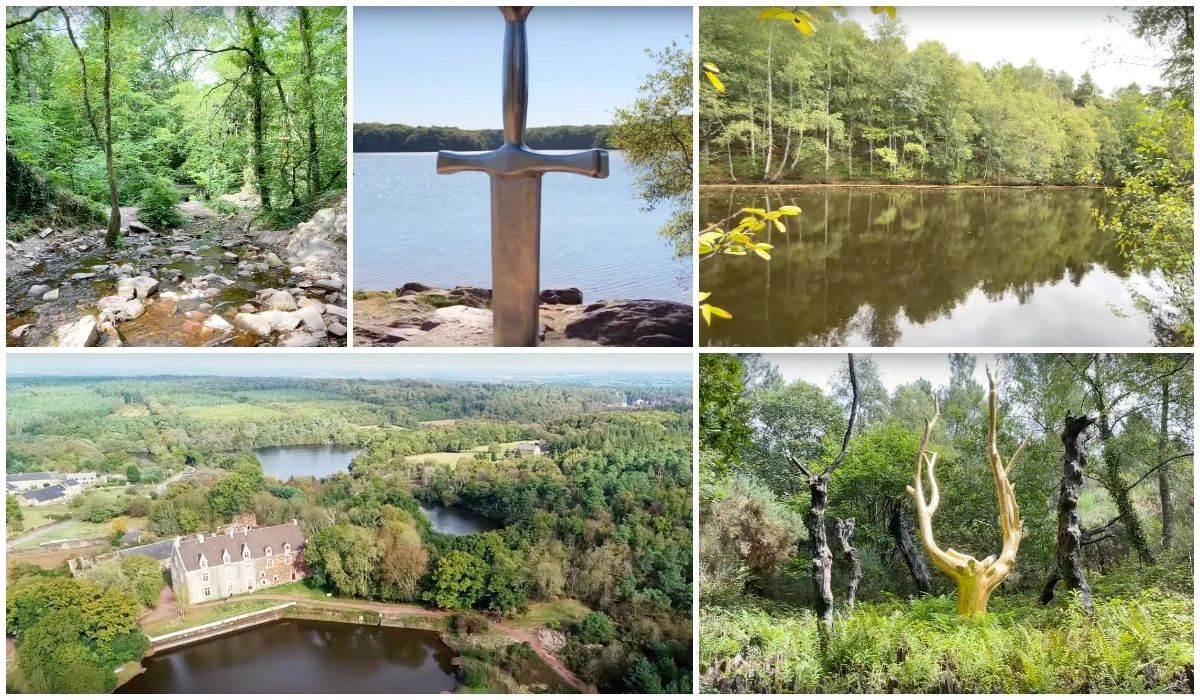 La forêt de Brocéliande - Ille-et-Vilaine - Bretagne - Les plus belles forêts de France.