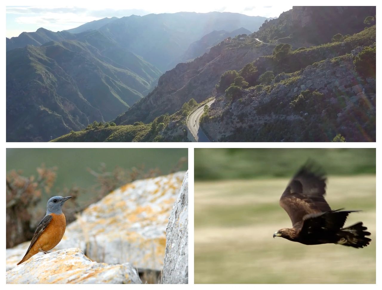 Le Parc National de la Sierra Nevada