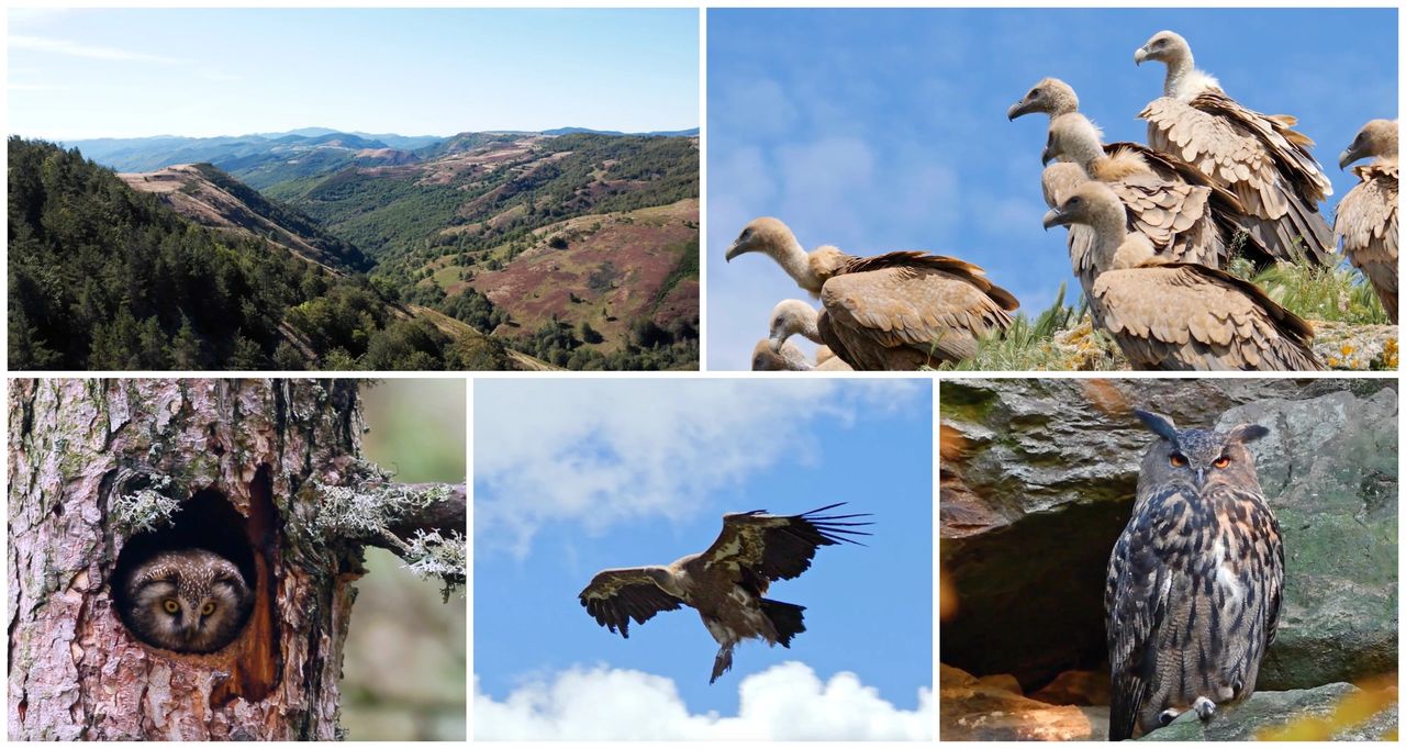 La Réserve de la Biosphère du Parc National des Cévennes