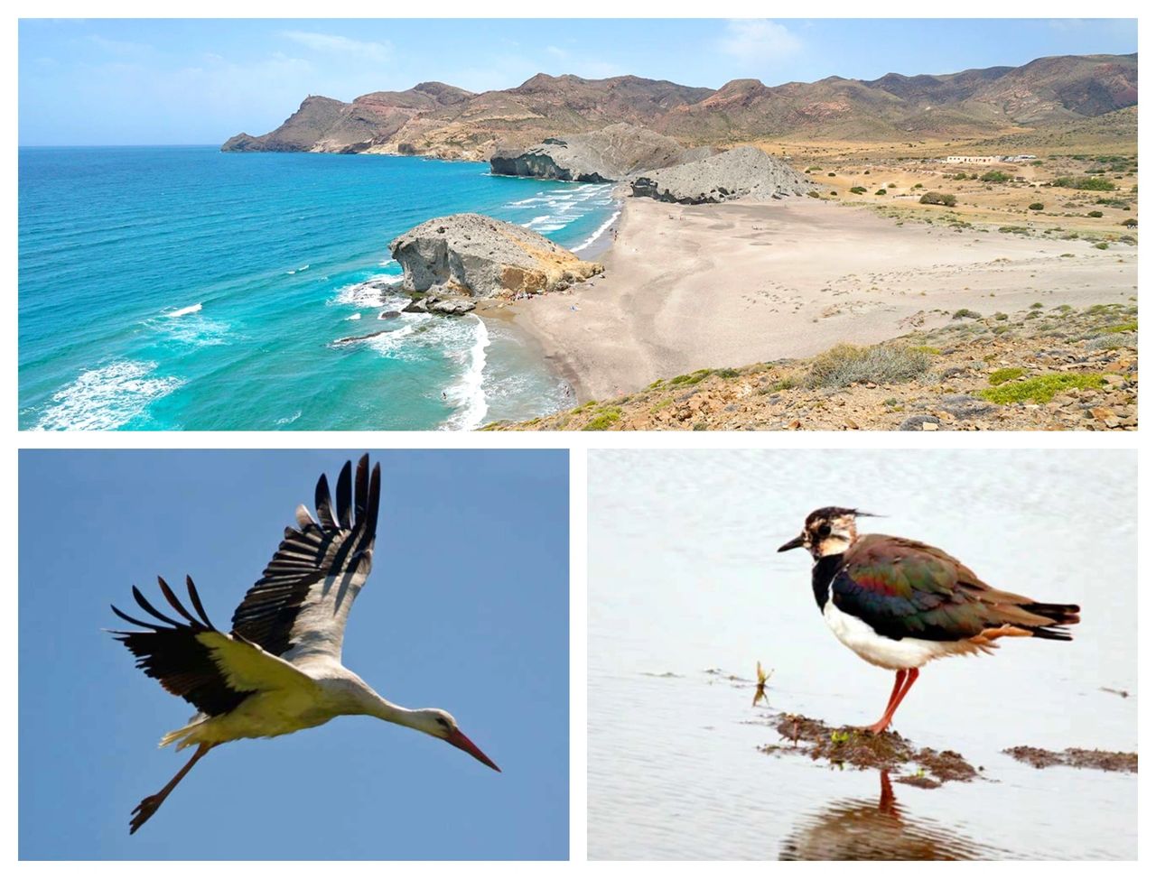 Le Parc Naturel Cabo de Gata