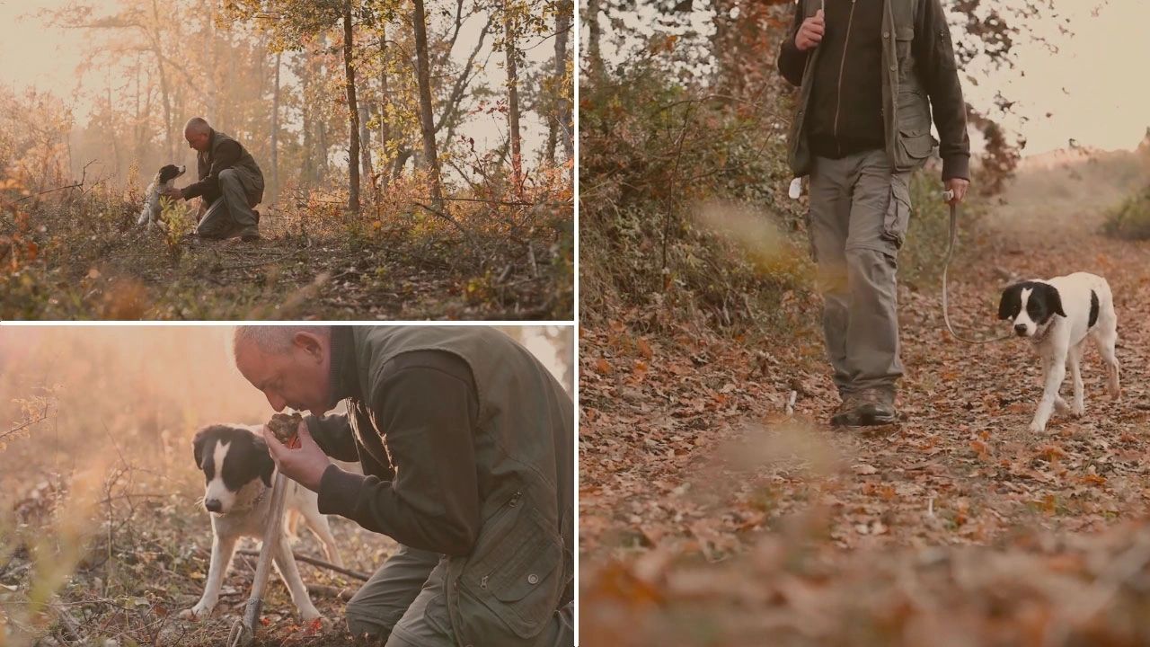 Chasse à la truffe en Toscane