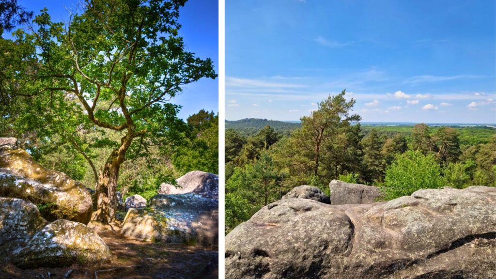 Barbizon forêt de Fontainebleau