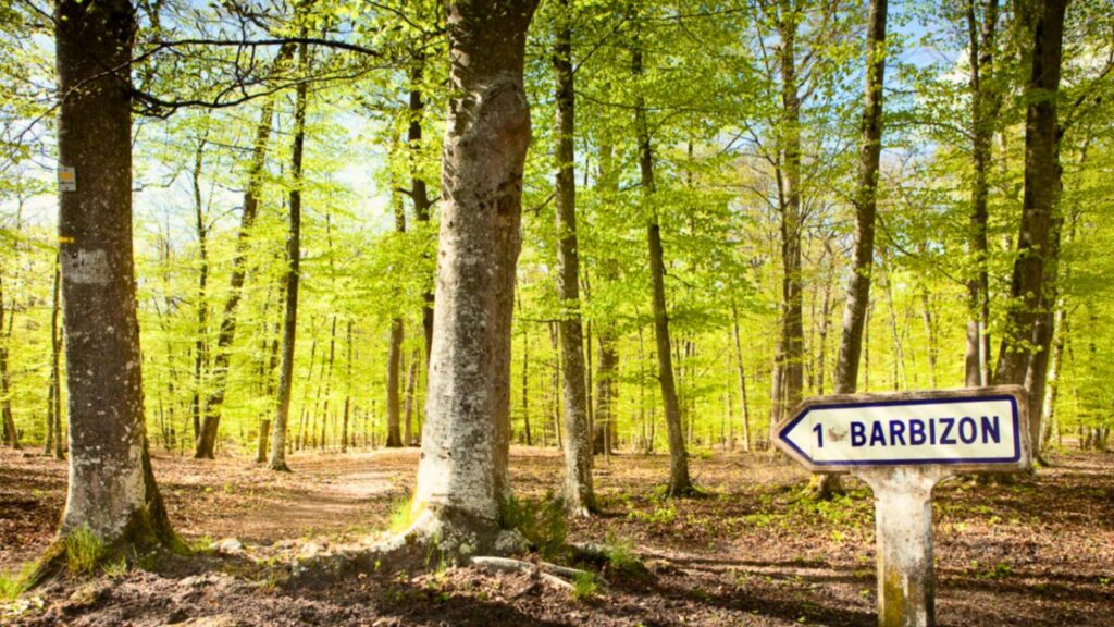 Barbizon forêt de Fontainebleau