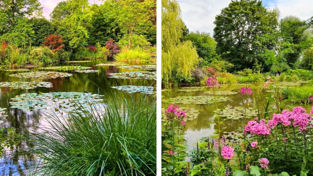 Les jardins de Claude Monet en été