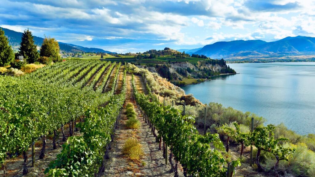 La Vallée de l'Okanagan : La Route des Vins dans l'Ouest Canadien