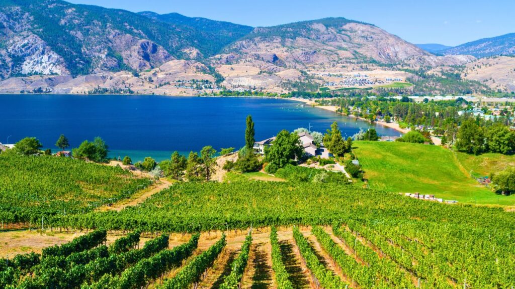 La Vallée de l'Okanagan : La Route des Vins dans l'Ouest Canadien