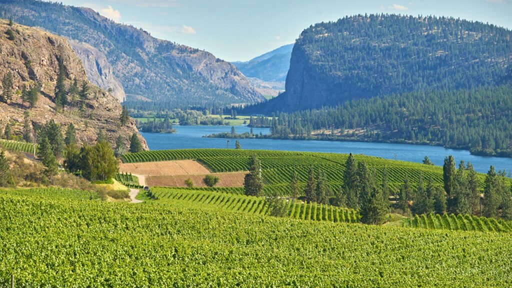 La Vallée de l'Okanagan : La Route des Vins dans l'Ouest Canadien