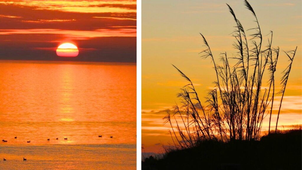 île de Ré au Printemps Coucher de soleil