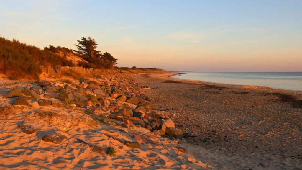 Plage île de Ré au coucher de soleil